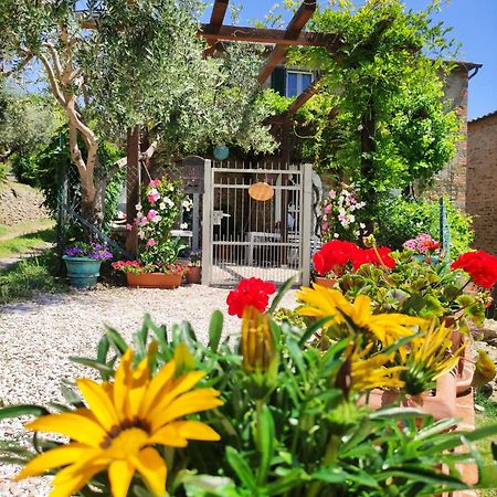Private Stone Cottage With Starlink & Lake View Tuoro sul Trasimeno Exterior foto