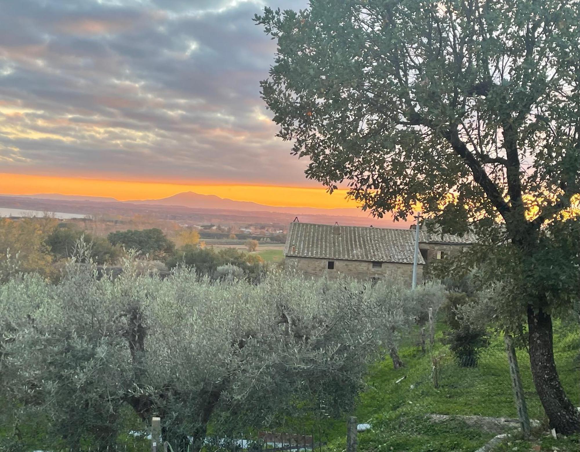 Private Stone Cottage With Starlink & Lake View Tuoro sul Trasimeno Exterior foto