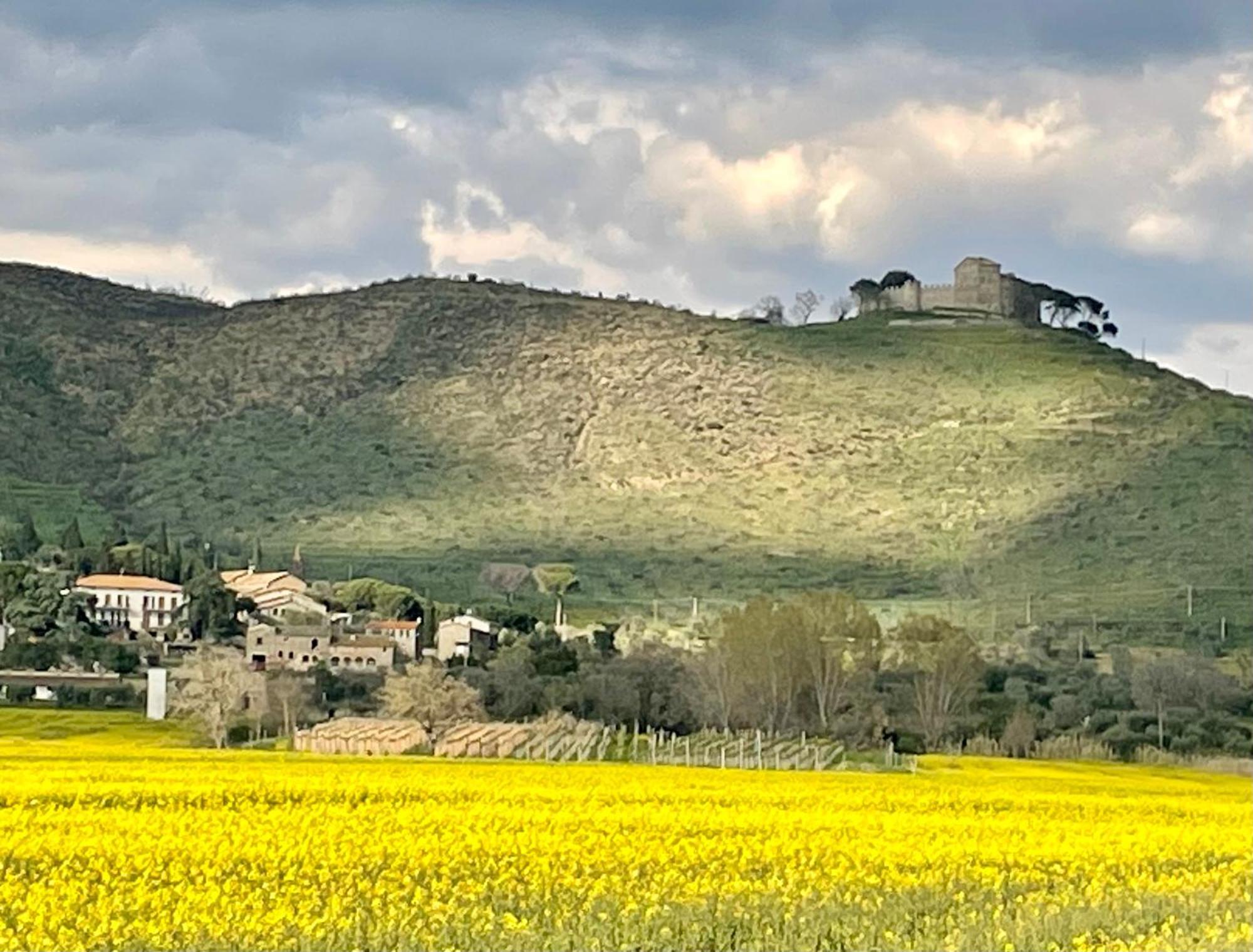 Private Stone Cottage With Starlink & Lake View Tuoro sul Trasimeno Exterior foto